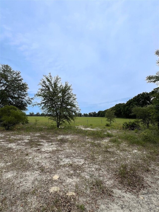 00 NE 349th Hwy, Old Town, FL 32680 - photo 16