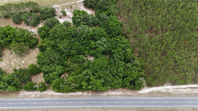 00 NE 349th Hwy, Old Town, FL 32680 - photo 17