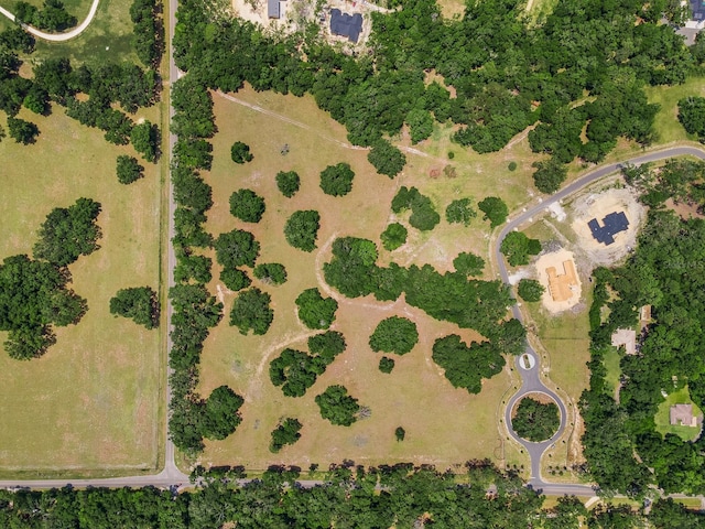 241 241, Newberry, FL 32669 - photo 4