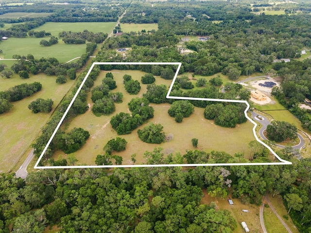 241 241, Newberry, FL 32669 - photo 5