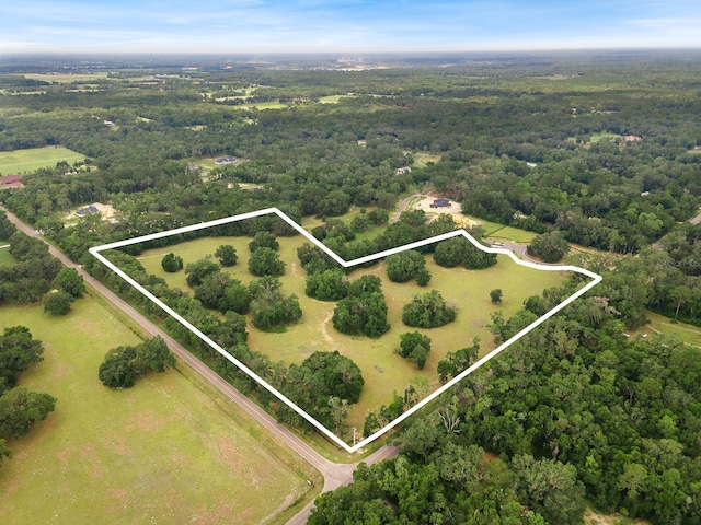 241 241, Newberry, FL 32669 - photo 8