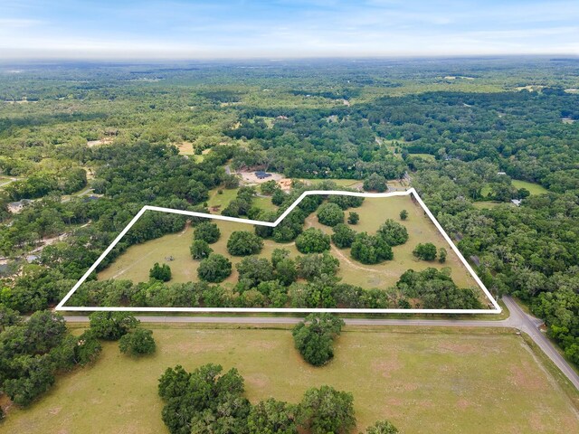 241 241, Newberry, FL 32669 - photo 10