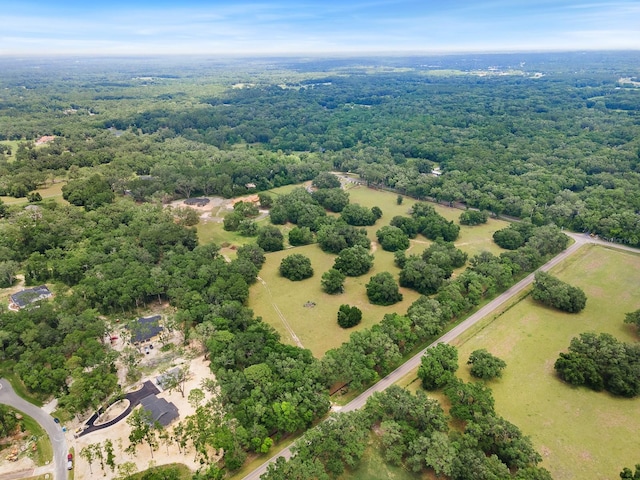 241 241, Newberry, FL 32669 - photo 12