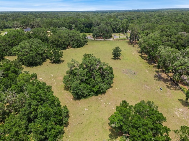 241 241, Newberry, FL 32669 - photo 18