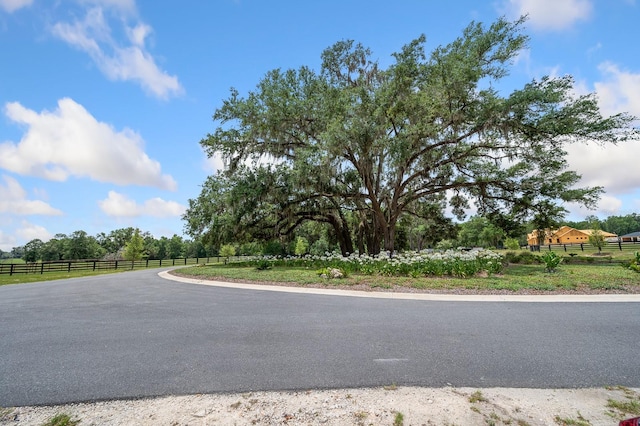 241 241, Newberry, FL 32669 - photo 19