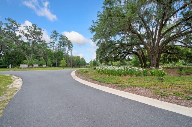 241 241, Newberry, FL 32669 - photo 28