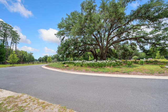 241 241, Newberry, FL 32669 - photo 29