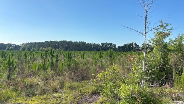 5852 NW 60th St, Chiefland, FL 32626 - photo 2