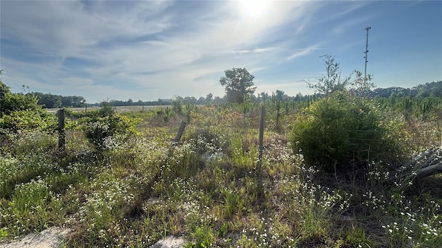 5852 NW 60th St, Chiefland, FL 32626 - photo 4