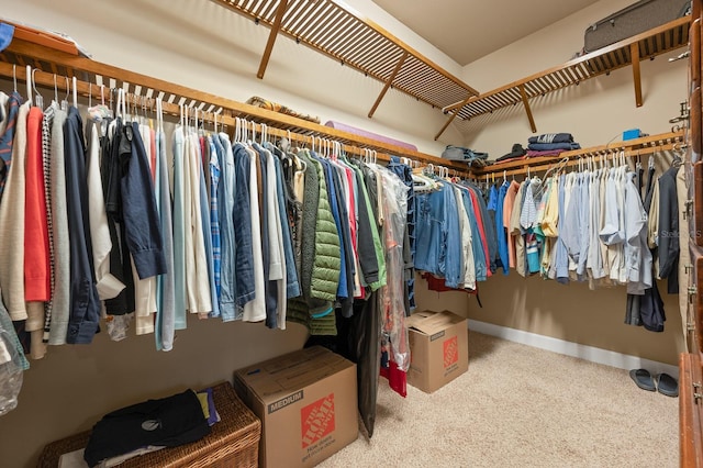 2638 SW 118th Ter, Gainesville, FL 32608 - walk in closet with carpet