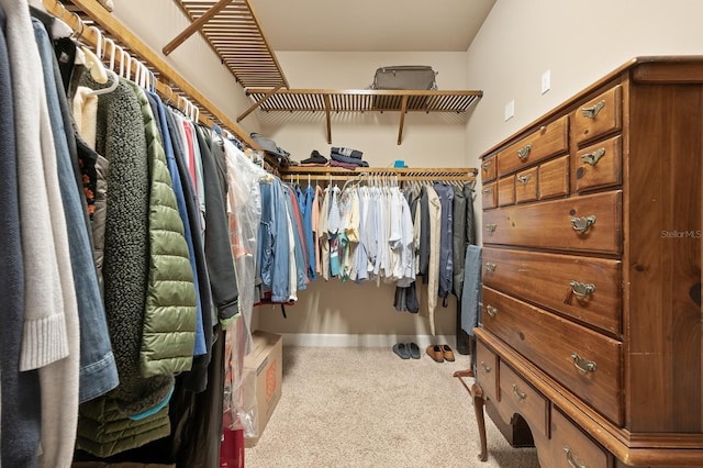 2638 SW 118th Ter, Gainesville, FL 32608 - spacious closet with carpet flooring