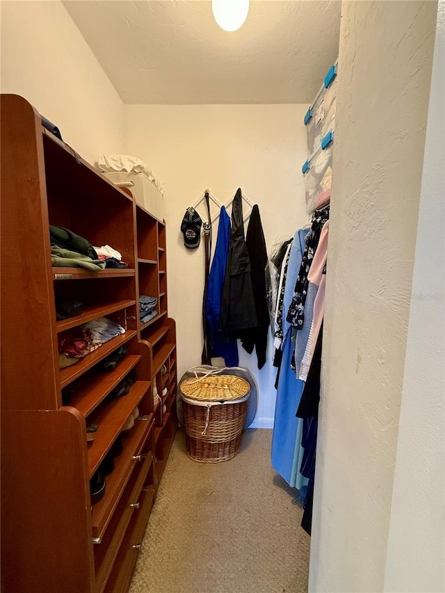 2058 SW 35th Pl Unit H47, Gainesville, FL 32608 - walk in closet with carpet