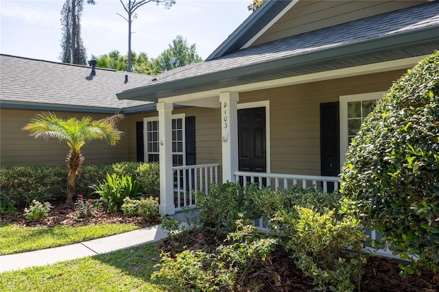 8103 SW 71st Ln, Gainesville, FL 32608 - view of exterior entry with a porch and roof with shingles