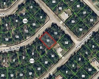 3822 W Hondo Dr, Citrus Springs, FL 34433