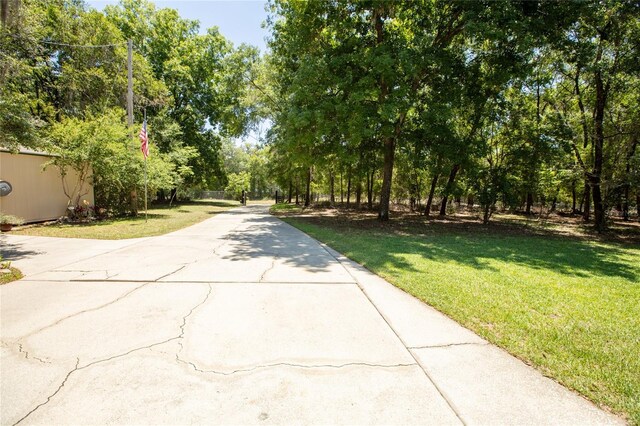 163 Swisher Lakes Trl, Melrose, FL 32666 - photo 21