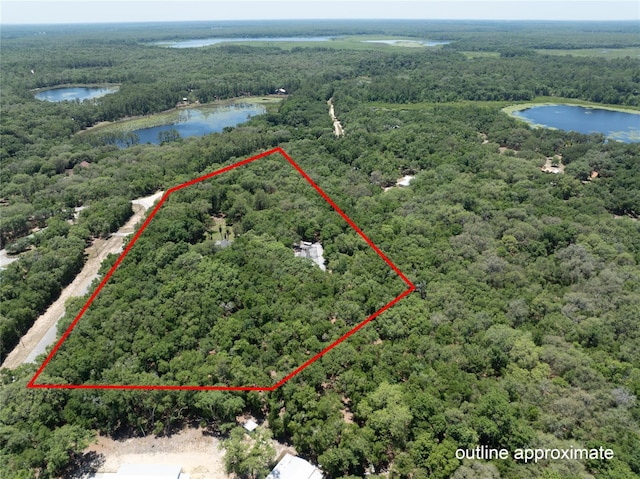 163 Swisher Lakes Trl, Melrose, FL 32666 - photo 59
