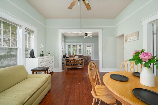 119 NW 7th Ter, Gainesville, FL 32601 - dining room with ceiling fan, dark wood-style floors, and healthy amount of natural light