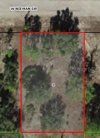 3378 W Nieman Dr, Citrus Springs, FL 34433