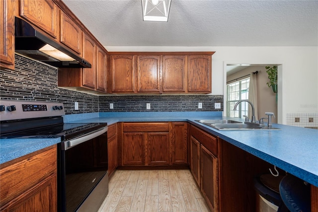 1841 SE 245th St, Hawthorne, FL 32640 - kitchen featuring stainless steel electric range, range hood, a sink, light wood-type flooring, and decorative backsplash