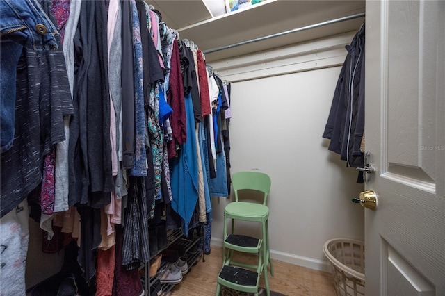 1841 SE 245th St, Hawthorne, FL 32640 - walk in closet featuring wood finished floors