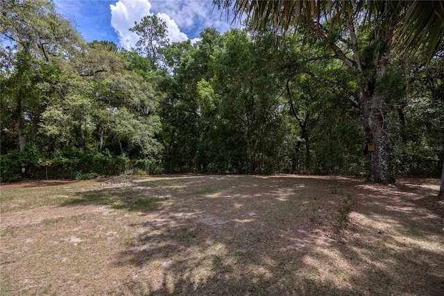 1841 SE 245th St, Hawthorne, FL 32640 - view of wooded area