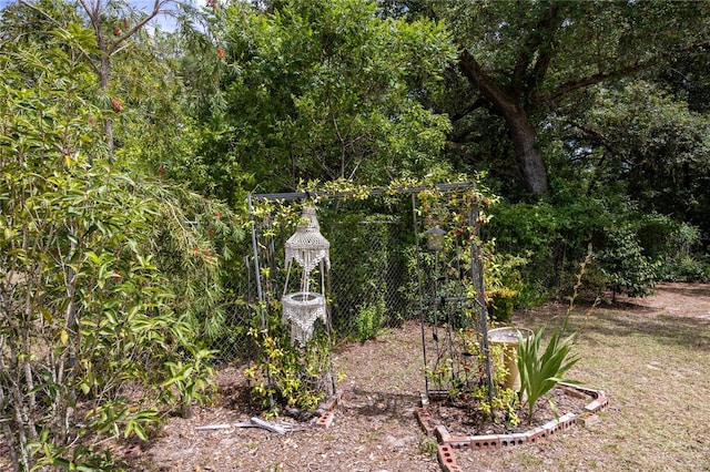 1841 SE 245th St, Hawthorne, FL 32640 - view of yard