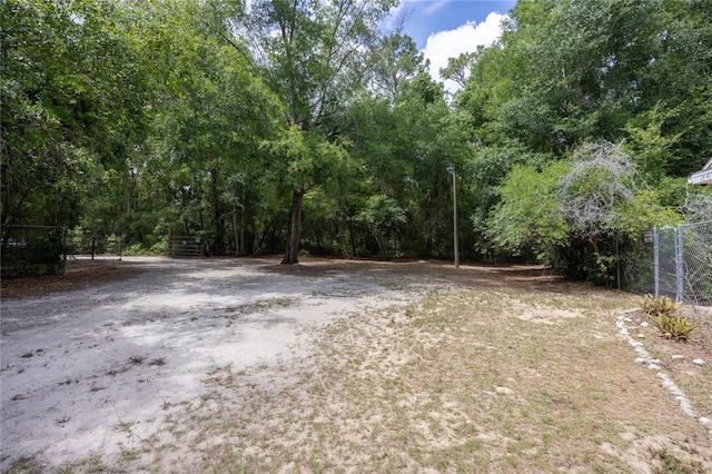1841 SE 245th St, Hawthorne, FL 32640 - view of yard