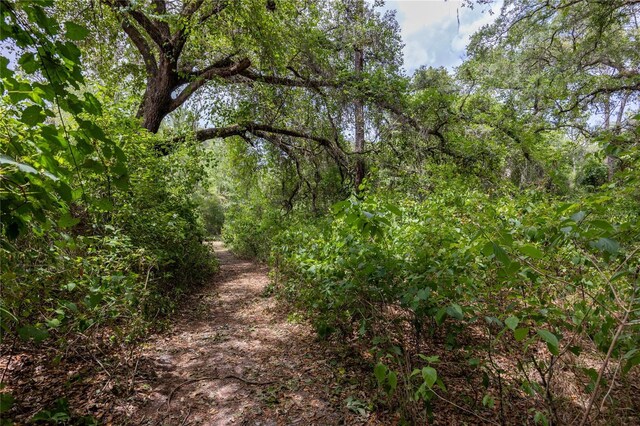 1841 SE 245th St, Hawthorne, FL 32640 - view of tree filled area