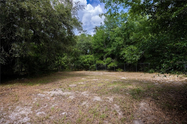 1841 SE 245th St, Hawthorne, FL 32640 - view of yard featuring a view of trees