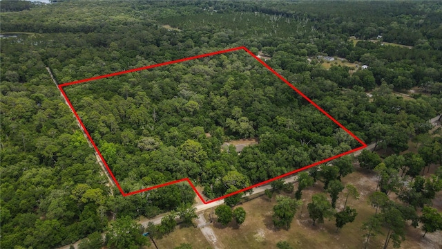 1841 SE 245th St, Hawthorne, FL 32640 - aerial overview of property's location featuring a forest and property boundaries highlighted