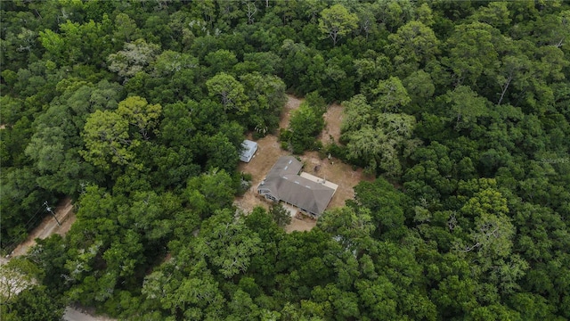 1841 SE 245th St, Hawthorne, FL 32640 - view of property location with a heavily wooded area