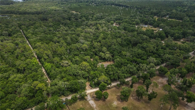 1841 SE 245th St, Hawthorne, FL 32640 - aerial view of property and surrounding area with a heavily wooded area