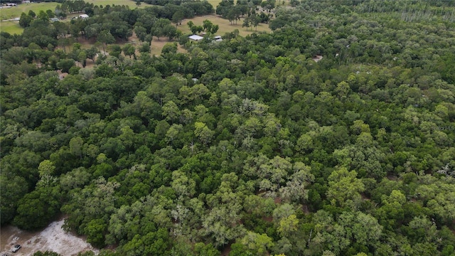 1841 SE 245th St, Hawthorne, FL 32640 - view of property location with a heavily wooded area