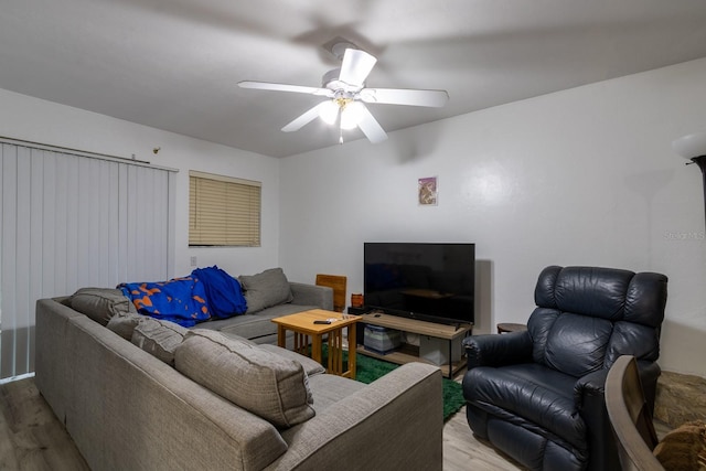 223 NW 34th St, Gainesville, FL 32607 - photo 8