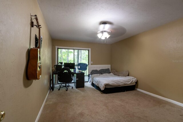 223 NW 34th St, Gainesville, FL 32607 - photo 14