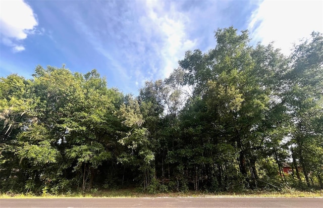 0000 NE 56th St, High Springs, FL 32643 - photo 1