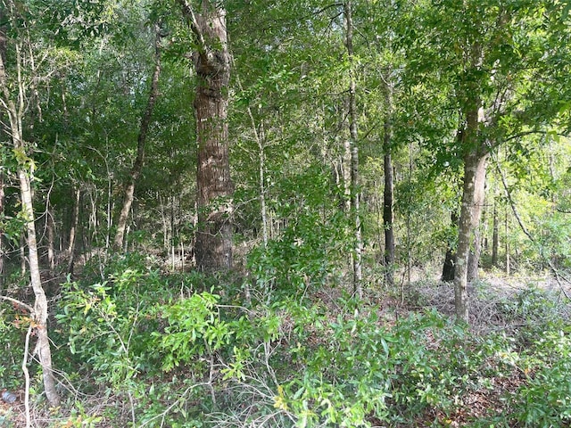 0000 NE 56th St, High Springs, FL 32643 - photo 2