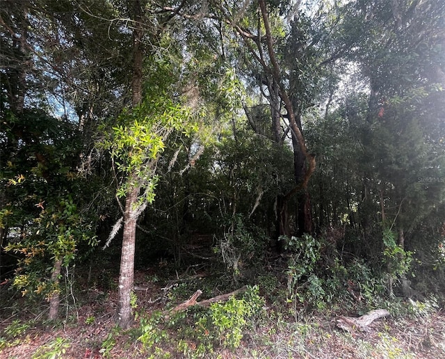0000 NE 56th St, High Springs, FL 32643 - photo 3