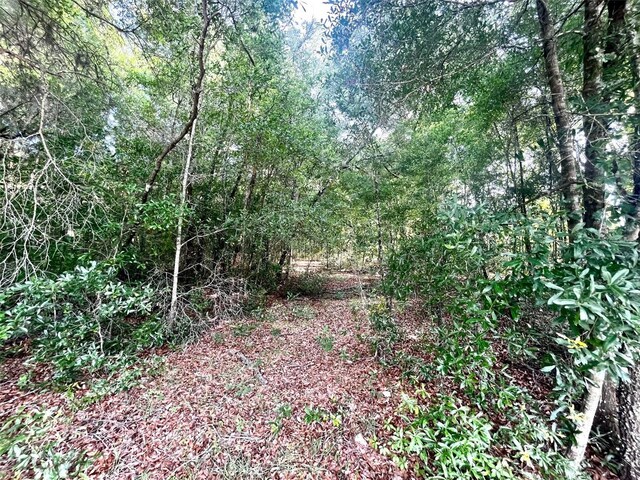 0000 NE 56th St, High Springs, FL 32643 - photo 4