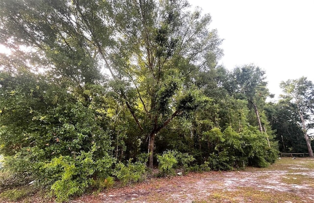0000 NE 56th St, High Springs, FL 32643 - photo 7