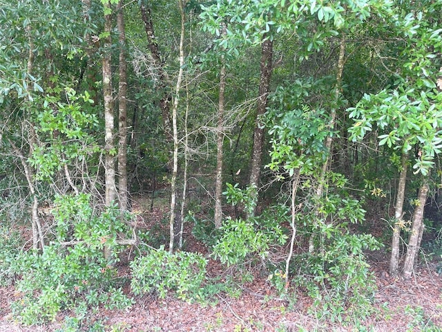 0000 NE 56th St, High Springs, FL 32643 - photo 8