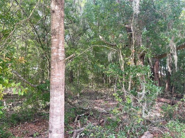 0000 NE 56th St, High Springs, FL 32643 - photo 9