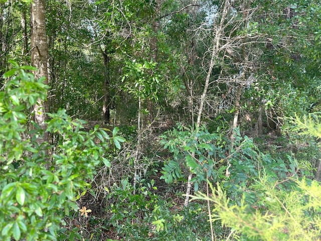 0000 NE 56th St, High Springs, FL 32643 - photo 10