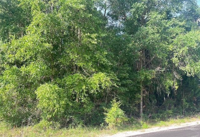 0000 NE 56th St, High Springs, FL 32643 - photo 11
