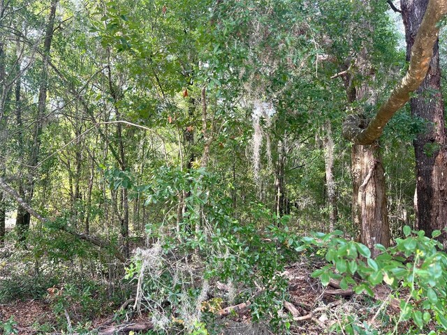 0000 NE 56th St, High Springs, FL 32643 - photo 12