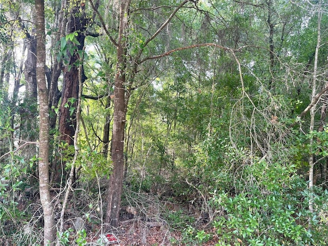 0000 NE 56th St, High Springs, FL 32643 - photo 13