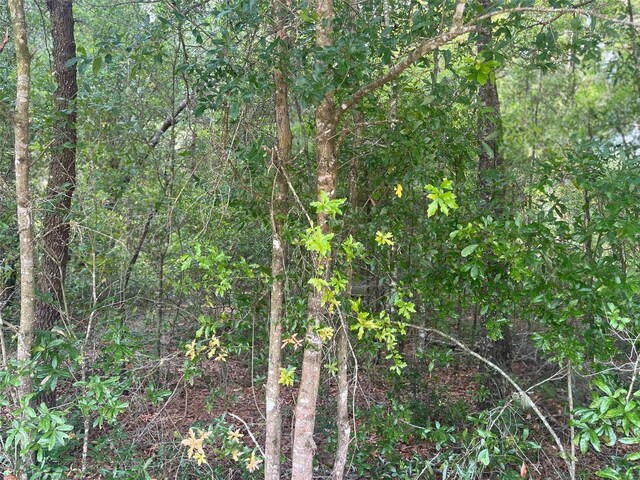 0000 NE 56th St, High Springs, FL 32643 - photo 14