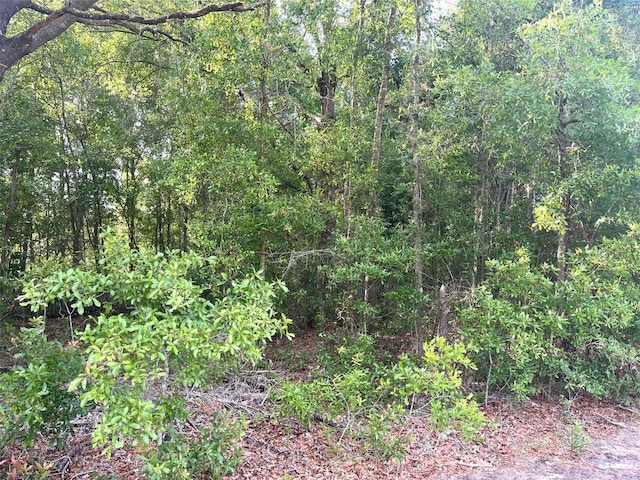 0000 NE 56th St, High Springs, FL 32643 - photo 15