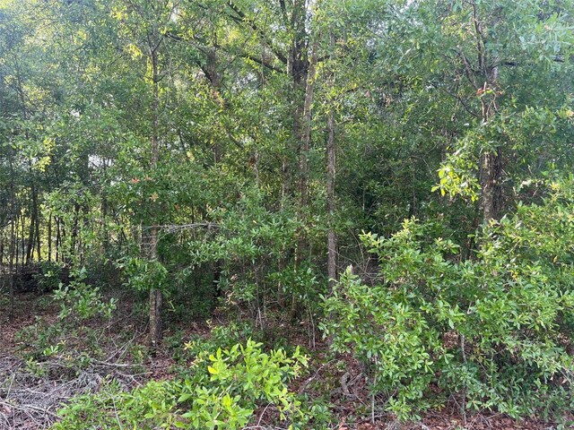 0000 NE 56th St, High Springs, FL 32643 - photo 16