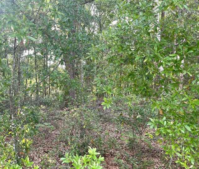 0000 NE 56th St, High Springs, FL 32643 - photo 17